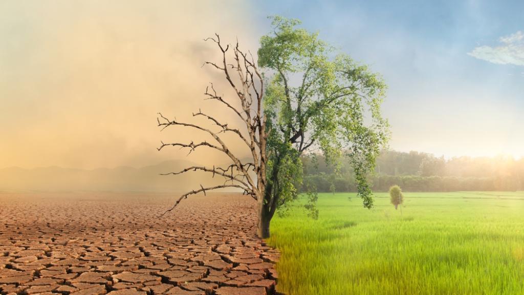 Revelación de riesgos climáticos