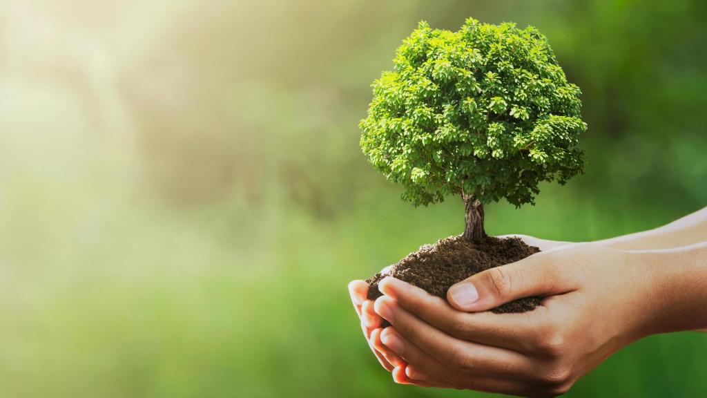 17 jul 2025 | Más allá de la intención: Cómo medir tu huella de carbono
